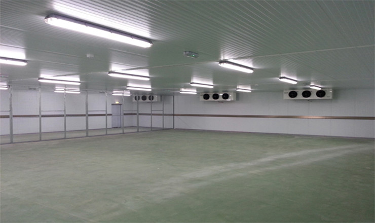 Kho đông lạnh thủy sản thương mại