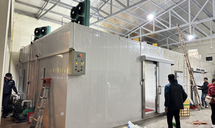 Tư vấn thiết kế kho lạnh