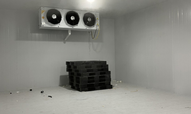  Kho đông lạnh hải sản Tuần Châu