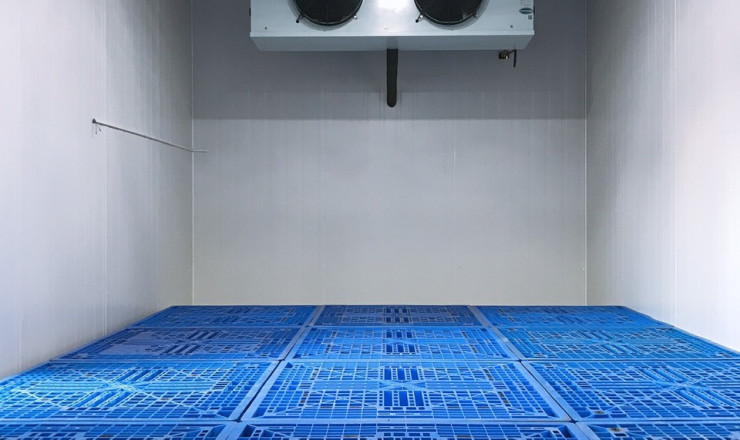  Kho lạnh bảo quản dứa Quận 9